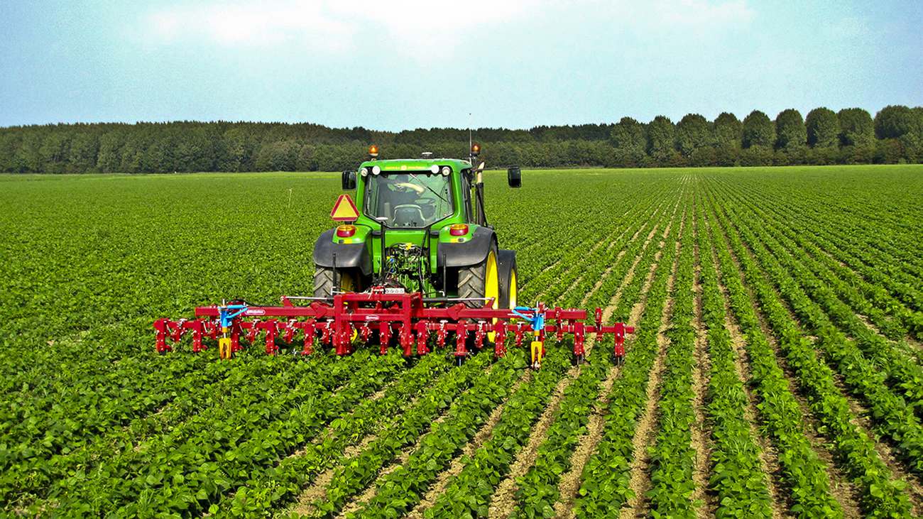 agro-lettersss.jpg